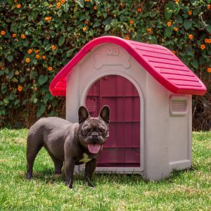 Casa de perro Mediana