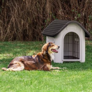 Casa de perro mediana